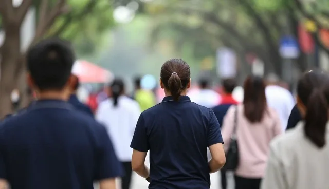 深圳网站设计公司:产品发布与工商查询服务的深度融合