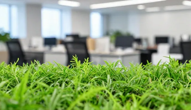曝光问题的适用场景与限制分析